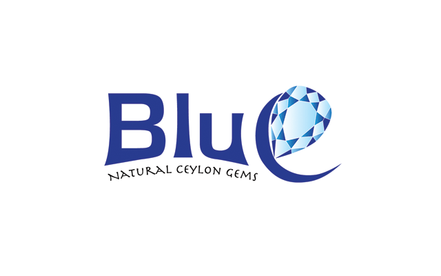 business logo design | web design